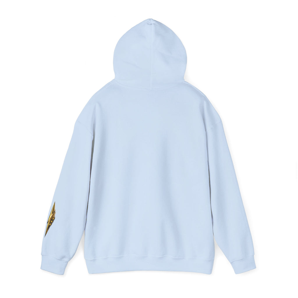 Eagle Emblem Hoodie — Classic Vintage Eagle Chest & Sleeve Graphic